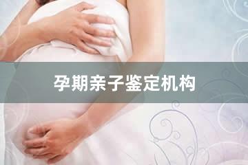 北京孕期亲子鉴定机构